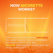 Load image into Gallery viewer, Nicorette 2mg Nicotine Gum to Quit Smoking - Fruit Chill Flavored Stop Smoking Aid, 160 Count
