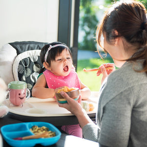 Magic Bullet Baby Bullet Baby Care System