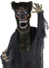 Load image into Gallery viewer, Haunted Hill Farm HHWOLF-2FLSA Life-Size Animatronic Werewolf, Indoor/Outdoor Halloween Decoration, Multi