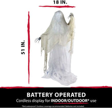 Load image into Gallery viewer, Haunted Hill Farm HHCAGE-1H Life-Size Cage, Color 1