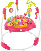 Load image into Gallery viewer, Fisher-Price Jumperoo