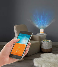 Load image into Gallery viewer, Fisher-Price Smart Connect Deluxe Soother