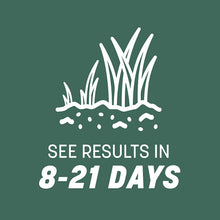 Load image into Gallery viewer, Pennington Kentucky 31 Tall Fescue Grass Seed, 20 Pounds