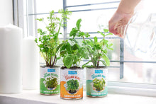 Load image into Gallery viewer, Back to the Roots Kitchen Herb Garden, Complete Herb Grow Kit, Grow Fresh Herbs Year Round, Variety Pack of Basil, Mint, and Cilantro, Top Gardening Gift, Holiday Gift, &amp; Unique Gift