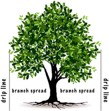 Load image into Gallery viewer, Jobes Evergreen 15 Spikes Value Pack