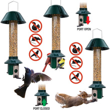 Load image into Gallery viewer, Roamwild PestOff Squirrel Proof Bird Feeder Mixed Seed Sunflower Heart Version