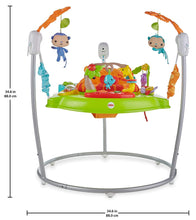 Load image into Gallery viewer, Fisher-Price Jumperoo: Tiger Time