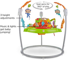 Load image into Gallery viewer, Fisher-Price Jumperoo: Tiger Time