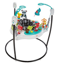 Load image into Gallery viewer, Fisher-Price Animal Wonders Jumperoo, White