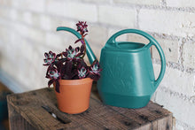 Load image into Gallery viewer, Bloem Aqua Rite Watering Can, 56 oz, Union Red (AW21-12)