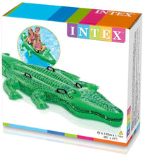 Load image into Gallery viewer, Intex Wave Rider