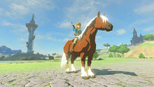 Load image into Gallery viewer, The Legend of Zelda Breath of the Wild
