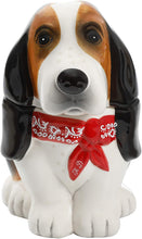 Load image into Gallery viewer, The Pioneer Woman"Henry" Earthenware 7.75 in Candy Jar