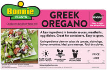 Load image into Gallery viewer, Bonnie Plants 5080 Greek Oregano Herb Plant