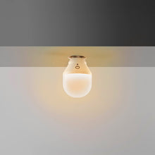 Load image into Gallery viewer, LIFX Mini Bulb Light Light bulb