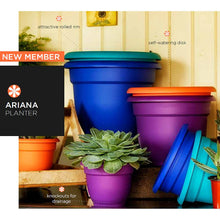 Load image into Gallery viewer, Bloem Ariana Plastic Round Self Watering Planter