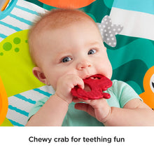 Load image into Gallery viewer, Fisher-Price Fold &amp; Go Portable Gym