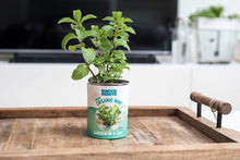 Load image into Gallery viewer, Back to the Roots Kitchen Herb Garden, Complete Herb Grow Kit, Grow Fresh Herbs Year Round, Variety Pack of Basil, Mint, and Cilantro, Top Gardening Gift, Holiday Gift, &amp; Unique Gift