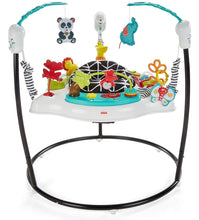Load image into Gallery viewer, Fisher-Price Animal Wonders Jumperoo, White