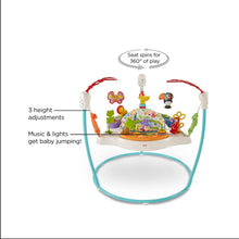 Load image into Gallery viewer, Fisher-Price Color Climbers Jumperoo