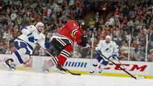 Load image into Gallery viewer, NHL 19