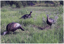 Load image into Gallery viewer, Flextone Thunder Chick Upright Hen Decoy