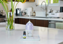 Load image into Gallery viewer, GuruNanda Essential Oil Single