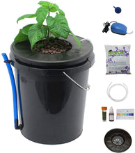 Load image into Gallery viewer, Viagrow Black Bucket Deep Water Culture System