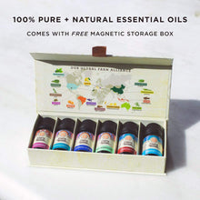 Load image into Gallery viewer, Guru Nanda (Set of 6) Therapeutic Grade Essential Oils - 100% Pure &amp; Natural Aromatherapy Single Notes for Oil Diffusers &amp; Topical Use - Lavender, Peppermint, Eucalyptus, Orange, Lemongrass, Cedarwood