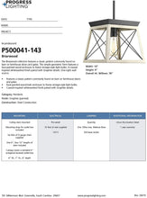 Load image into Gallery viewer, Progress Lighting P500041-031 Briarwood Pendants