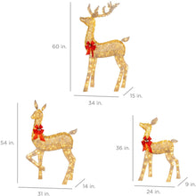 Load image into Gallery viewer, Best Choice Products 3-Piece Lighted Christmas Deer Family Set Outdoor Yard Decoration with 360 LED Lights, Stakes, Zip Ties