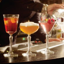 Load image into Gallery viewer, Libbey Capone Entertaining Set with 4 Martini Glasses and Shaker