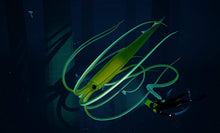 Load image into Gallery viewer, ABZÛ0