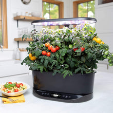 Load image into Gallery viewer, AeroGarden Bounty Basic Indoor Hydroponic Herb Garden,