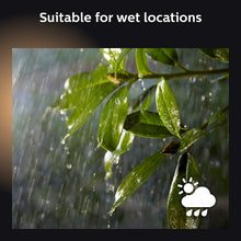 Load image into Gallery viewer, Philips Hue White &amp; Color Ambiance Outdoor LightStrip 5m/16ft (Requires Hue Hub, Works with Amazon Alexa Apple HomeKit and Google Assistant)