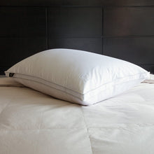 Load image into Gallery viewer, Nikki Chu Bed Pillow