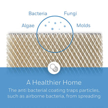 Load image into Gallery viewer, Honeywell Home HC22P Whole House Humidifier Pad, Paper, Anti-Microbial Coating