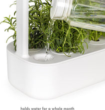 Load image into Gallery viewer, Click and Grow Smart Garden 9 Indoor Home Garden (Includes 3 Mini Tomato, 3 Basil and 3 Green Lettuce Plant pods), Beige