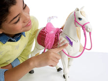Load image into Gallery viewer, Barbie Dream Horse &amp; Black Hair Doll