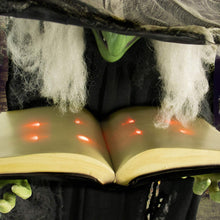 Load image into Gallery viewer, Haunted Hill Farm HHWITCH-9FLS Life-Size Animatronic Witch, Indoor/Outdoor Halloween Decoration, Multi