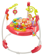 Load image into Gallery viewer, Fisher-Price Jumperoo