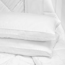 Load image into Gallery viewer, BioPEDIC Low Profile Hypoallergenic Flat Pillow (2 Pack),Standard/Queen