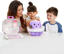 Load image into Gallery viewer, Little Live Scruff-A-Luvs Plush Mystery Rescue Pet - Purple