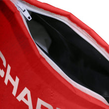 Load image into Gallery viewer, Chapin 84700A 25-Pound Professional Bag Seeder, (1 Bag Seeder/Package)