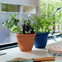 Load image into Gallery viewer, Fiskars 20-56106 6 Inch Ariana with Self-Watering Grid