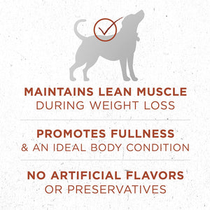 Purina ONE SmartBlend Natural Healthy Weight Formula Adult Dry Dog Food & Wet Dog Food