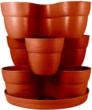 Load image into Gallery viewer, Emsco Group