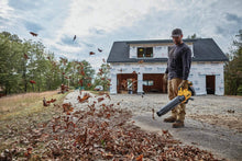 Load image into Gallery viewer, DEWALT DCBL720P1 20V MAX 5.0 Ah Lithium Ion XR Brushless Blower