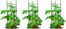 Load image into Gallery viewer, YARDGARD Gardener's Blue Ribbon 3-Pack Ultomato Tomato Plant Cage