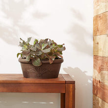 Load image into Gallery viewer, Arcadia Garden Products